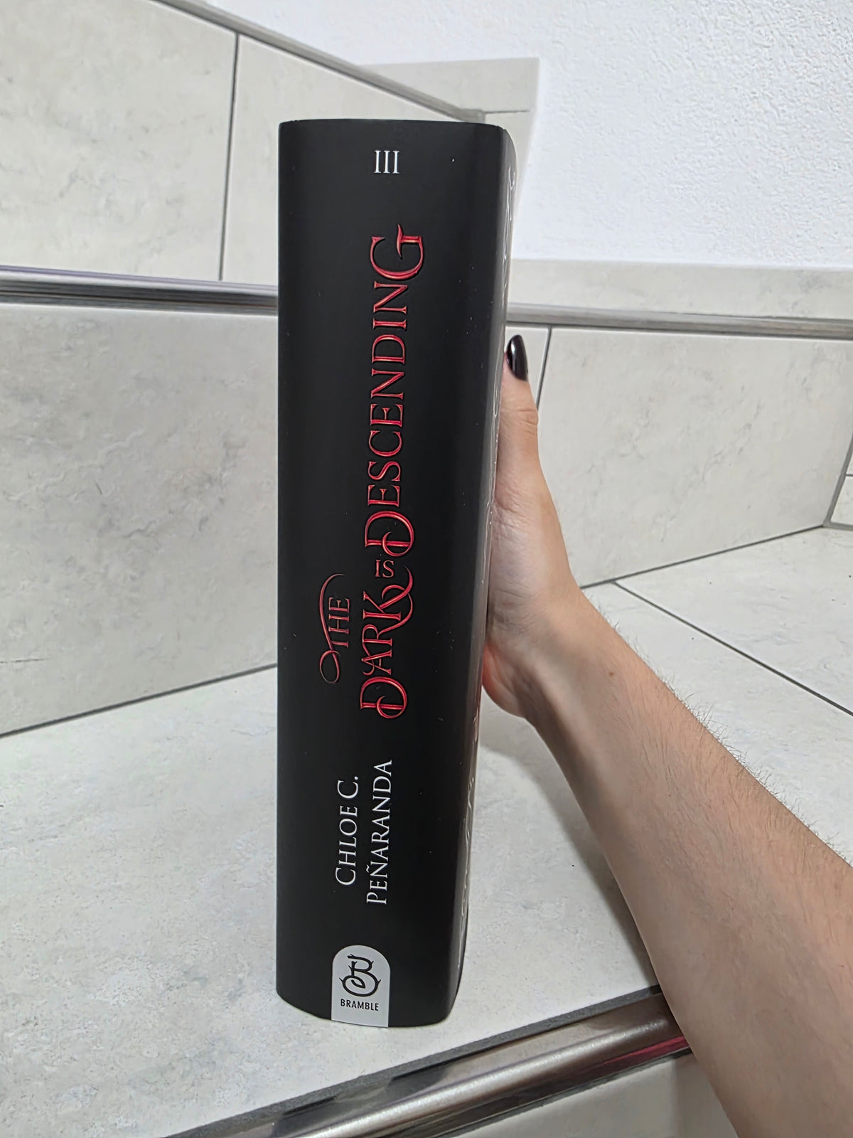 The Dark is Descending von Chloe C. Penaranda