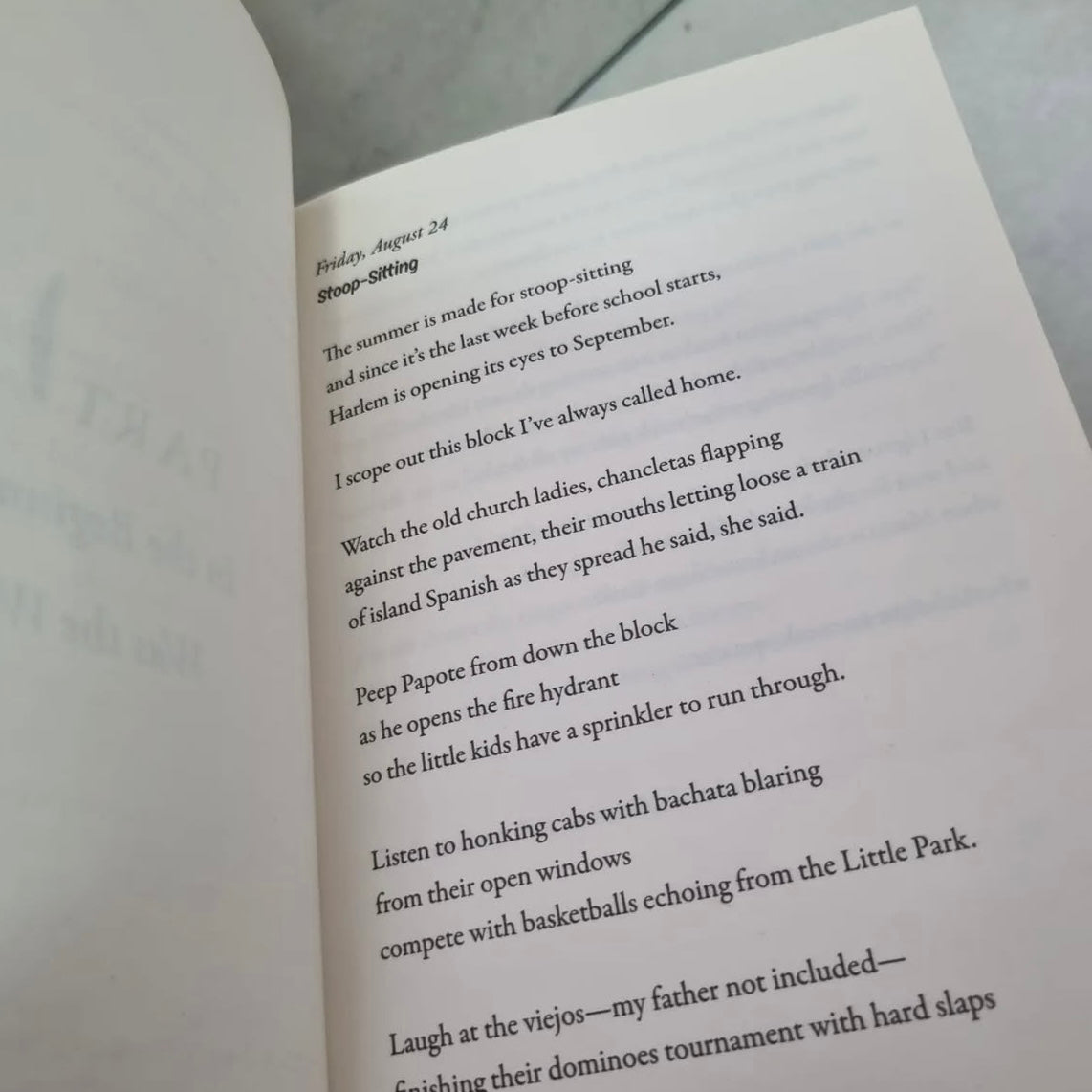 The Poet X by Elizabeth Acevedo