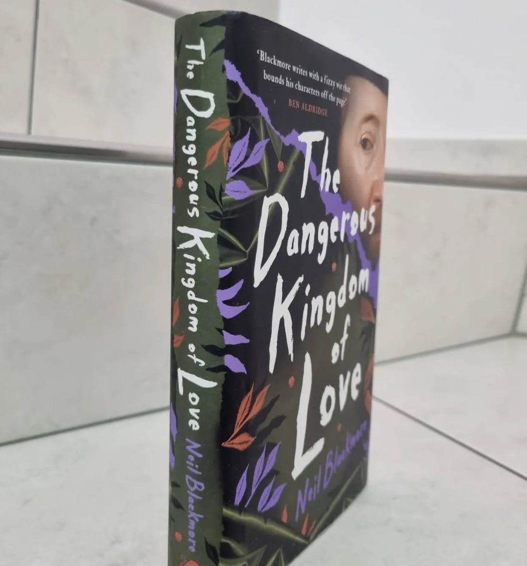 The Dangerous Kingdom of Love by Neil Blackmore