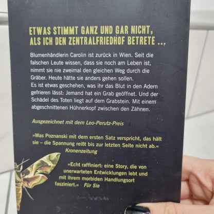 Vanitas: Grau wie Asche von Ursula Poznanski