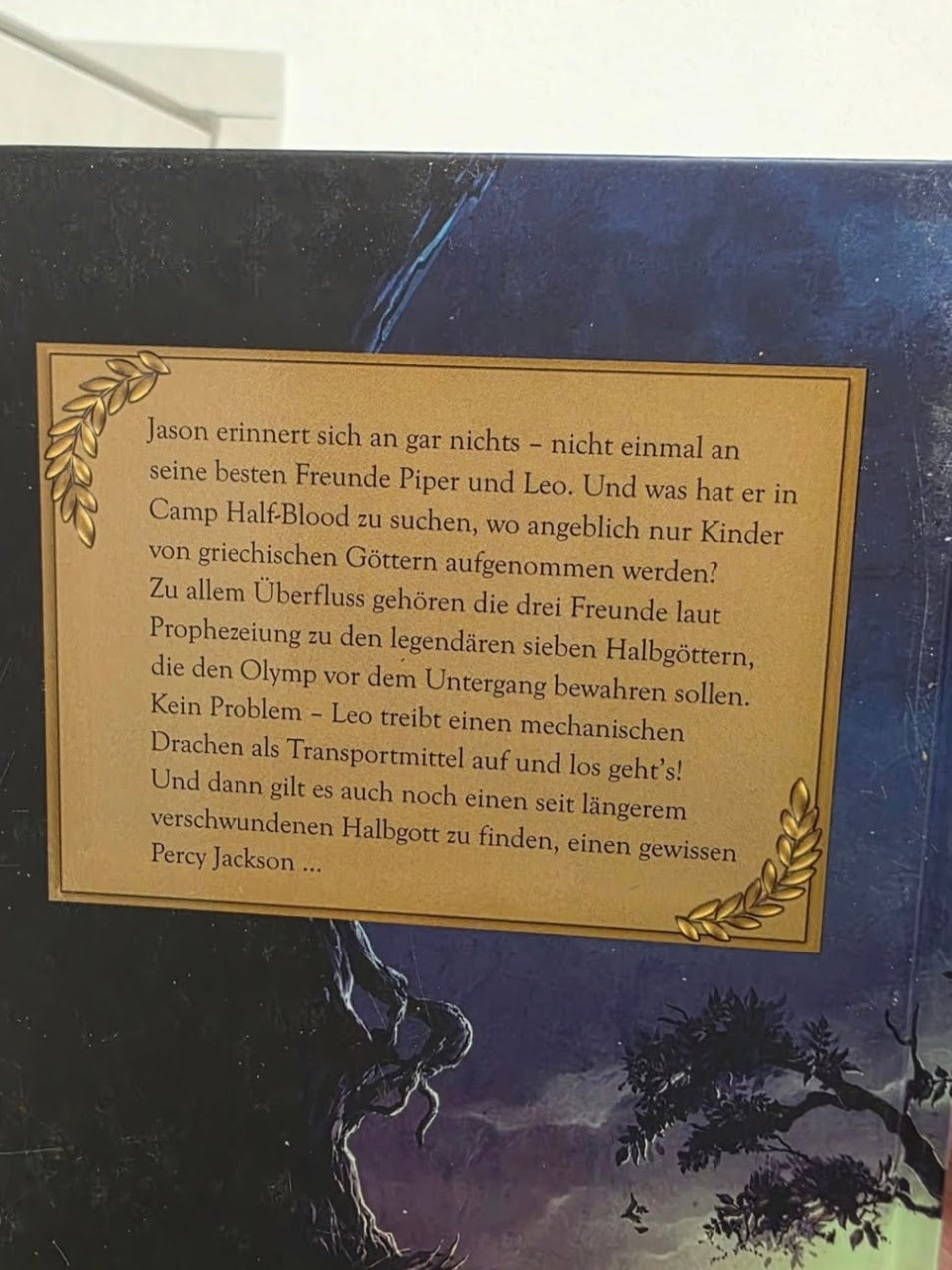 Helden des Olymp der verschwundene Halbgott Rick Riordan